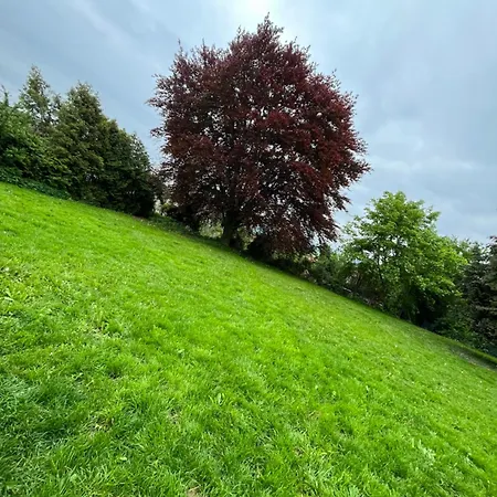 Apartman Doppelzimmer Nr3 Haigerloch